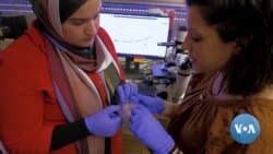 As Israeli-Palestinian Violence Spikes, Scientific Cooperation Is Breaking Down Barriers 