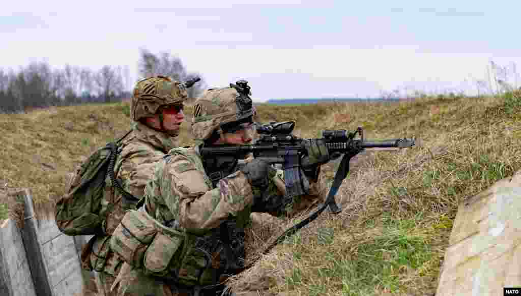 ამერიკელი ქვეითები - ნატოს წვრთნები "დრაკონი 2024"