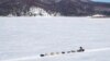 Alaskan Dogsled Race Begins with Smallest Field Ever 