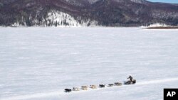 FILE - Brent Sass heads down the Yukon River between Ruby and Galena, Alaska, on March 13, 2020, during the Iditarod Trail Sled Dog Race. 