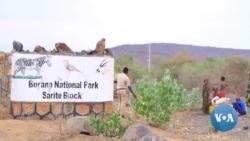 Rooba Dhiheenya Roobeen Bineensotni  Paarkii Booranaa Keessaa Jiran Baraaramuun Himame 