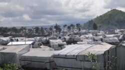 Près de 76 millions de déplacés internes à cause des guerres au Soudan, à Gaza et en RDC