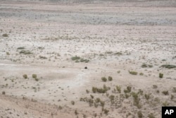 A man rides in desert that used to be a bed of the Aral Sea, outside Muynak, Uzbekistan, June 24, 2023.