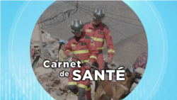 Carnet de santé : catastrophes et soins médicaux