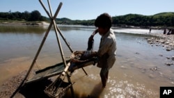 资料照片：2013年11月6日，缅甸克钦族男子在缅甸仰光以北约1600公里的克钦邦密支那的密松淘金。（美联社照片）