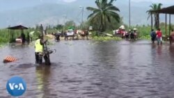 Bato koleka 7.000 bakimi bisika na bango mpo na bomati bwa mayi ya lac Tanganyika mpe bibale na Uvira