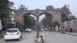 د پېښور پوهنتون د نباتاتو او حیواناتو موزیم
