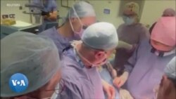 Une première greffe d'utérus au Royaume-Uni