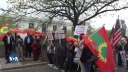 Hawaasi Oromoo Waashingtenii fi Naannoo Ishee Hiriira Mormii Geggeessan