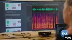 WellSaid Labs. (VOA/videograb)