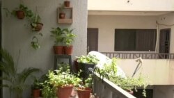 Au Nigéria, le combat d'une femme contre l'insécurité alimentaire 