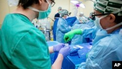 Fotografija Univerziteta Alabama u Birmingemu sa biopsije bubrega tokom transplantacije u februaru 2023. (Foto:Steve Wood/UAB via AP)