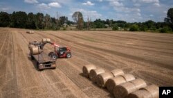 A tractor collects straw on a field in a private farm in Zhurivka, Kyiv region, Ukraine, Aug. 10, 2023.