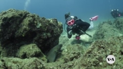 ຊຸມຊົນນັກດຳນໍ້າຍິງ ທ້າທາຍຕໍ່ສົມມຸດຕິຖານເລື້ອງເພດ, ເຊື້ອຊາດ ແລະ ອາຍຸ