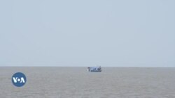 Sababaa Rakkoo Nageenyaatiin Geejjibni Yabalaa Haroo Danbalirra Baatii Tookkoo Oliif Addaan Cituun Himame