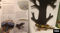 Izložba „Priroda na dodir” u Zemaljskom muzeju u Sarajevu