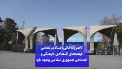 ناصر باباخانی: فساد در تمامی عرصه‌های اقتصادی، فرهنگی و اجتماعی جمهوری اسلامی وجود دارد
