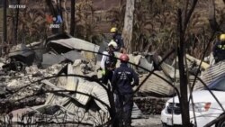 114 Tewas Akibat Karhutla Hawaii, Sementara Badai Hilary Picu Banjir California