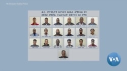 ኢሰመኮ የሽብር ወንጀል ተከሣሾችን የሰብአዊ መብቶች ጥሰት አቤቱታ መርምሮ እንዲያቀርብ ፍርድ ቤት አዘዘ