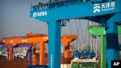 중국 톈진항에 있는 컨테이너 선적-하역용 대형 크레인들 (자료사진)