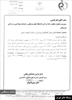 اسناد منتشر شده توسط یاشار سلطانی