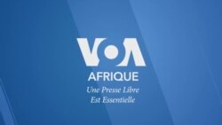 Prof Bob Kabamba alobeli mbano ya koluka kokela Buku Likonzi lya sika