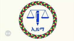 የኢዜማ መግለጫ እና የህወሓት ምላሽ