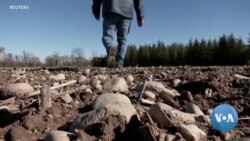 Drought Throws Southern France Into Existential Crisis