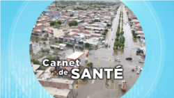 Carnet de santé : l'impact du changement climatique sur la santé