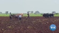 አርሶ አደሮች በዘንድሮውም መኸር የግብአት አቅርቦት ላይ ስጋታቸውን ገለጹ