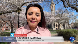 Amerika Manzaralari: Xitoy, arablar, Salton ko'li