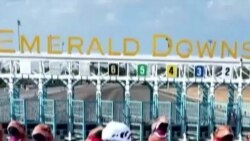 Puluhan Dinosaurus Adu Cepat di Kejuaraan Dunia Balap T-rex