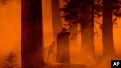 A firefighter walks through haze as the Park Fire burns near the Mineral community of Tehama County, Calif., on Aug. 7, 2024.