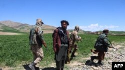 সশস্ত্র তালিবান নিরাপত্তা কর্মীরা ২০২৪ সালের ৬ মে বাদাখশান প্রদেশের আরগো জেলায় একটি গম ক্ষেতের উপর দিয়ে হাঁটছেন। ফাইল ছবি। 