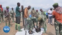 RDC : des groupes d'autodéfense traquent les rebelles du M23