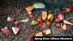 ILUSTRASI - Menurut badan pangan PBB (FAO), sekitar sepertiga makanan yang diproduksi untuk dikonsumsi manusia hilang atau terbuang secara global, yang mengakibatkan emisi yang tidak perlu dan berkurangnya ketersediaan makanan bagi yang membutuhkan. (REUTERS/Ajeng Dinar Ulfiana)