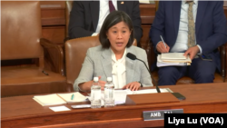 美国贸易代表戴琪(Katherine Tai)在众议院筹款委员会上就拜登政府2024年的贸易议程作证。（2024年4月16日）