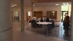 ABŞ tələbələrini Ukraynanın müdafiəsinə qoşulmağa çağıran saxta elanlar