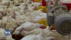 Mfanyabiashara aeleza changamoto za kukosekana umeme Afrika Kusini