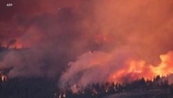 El Nino and Climate Change Created Disastrous Weather in 2023