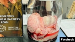 Disgusting Food Museum (Foto: Facebook/Disgusting Food Museum)