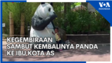 Kegembiraan Sambut Kembalinya Panda ke Ibu Kota AS