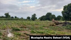 Gonaki a jihar Nejan Najeriya 