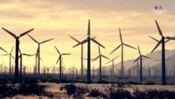 Մարտկոցների ոլորտի նորամուծությունը՝ կավե մարտկոցներ