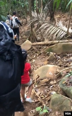 雨林（拍摄：小白）