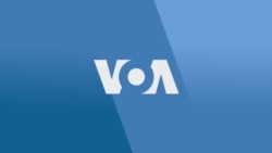 Mokambi ya Cogec PC Kibingwa alimboli ndenge bayi diaspora bakoki kopesama lisungi na kokela misala na RDC