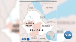 Miseensonni Mana-maree Babba-Bu’ootaa Itiyoophiyaa Oromiyaarraa Filataman Akka Rakkoon Naannicha Keessaa Araaraan Furamu Gaafatan