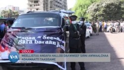 Weellistuu Angafa Halloo Daawweef Sirni Awwaalchaa Adaamaatti Raaw’atame  