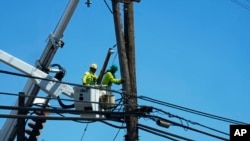 FILE - Linemen work on poles Aug. 13, 2023, in Lahaina, Hawaii, following a deadly wildfire that caused heavy damage days earlier. 