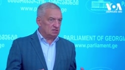 გიორგი ვოლსკი, "ქართული ოცნება"